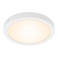 Briloner 7141-016 - Φωτιστικό οροφής LED FIRE LED/21W/230V