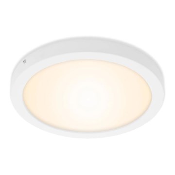 Briloner 7141-016 - Φωτιστικό οροφής LED FIRE LED/21W/230V