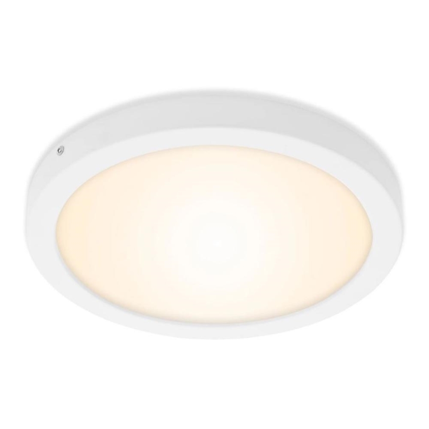 Briloner 7141-016 - Φωτιστικό οροφής LED FIRE LED/21W/230V