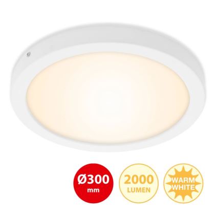 Briloner 7141-016 - Φωτιστικό οροφής LED FIRE LED/21W/230V