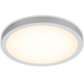 Briloner 7143-014 - Φωτιστικό οροφής LED FIRE LED/24,5W/230V 3000K