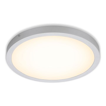 Briloner 7143-014 - Φωτιστικό οροφής LED FIRE LED/24,5W/230V 3000K