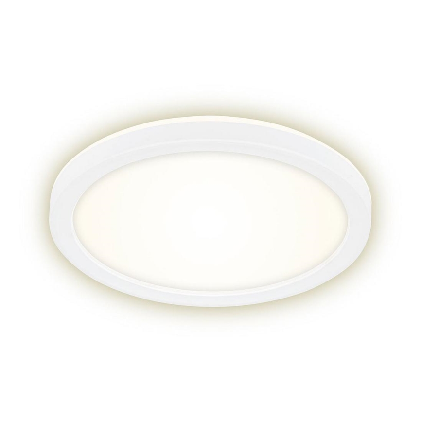 Briloner 7150-416 - Φωτιστικό οροφής LED SLIM LED/12W/230V d. 19 cm