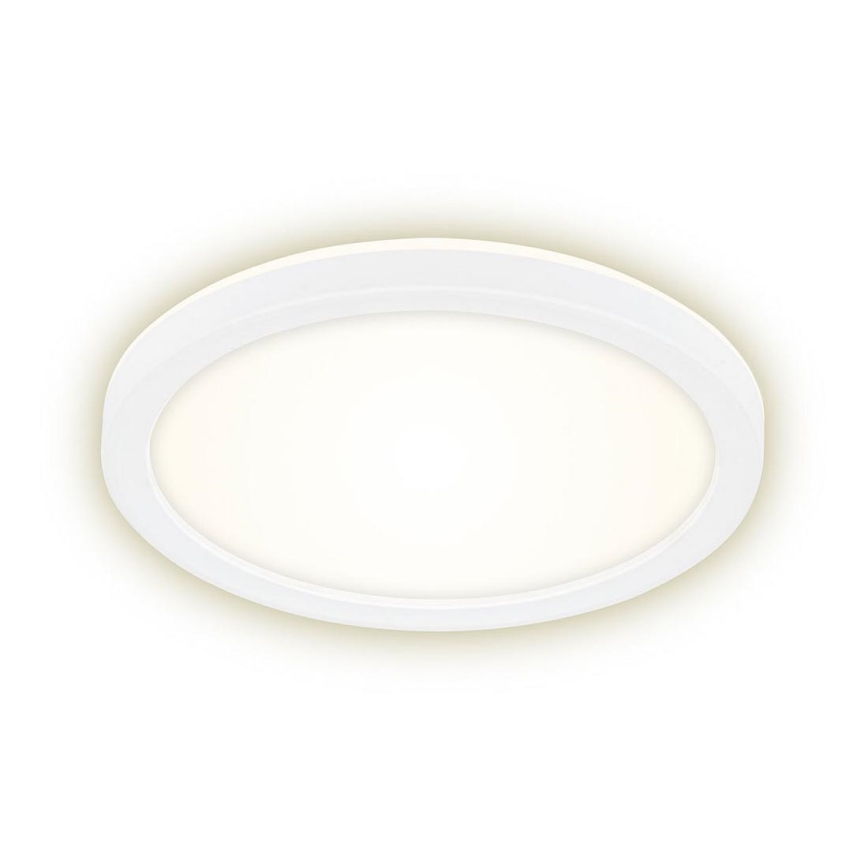 Briloner 7150-416 - Φωτιστικό οροφής LED SLIM LED/12W/230V d. 19 cm