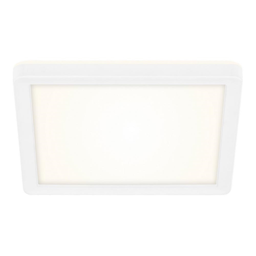 Briloner 7153-416 - LED Φωτιστικό οροφής SLIM LED/12W/230V