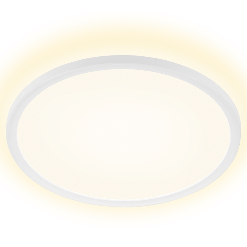 Briloner 7157-416 - Φωτιστικό οροφής LED SLIM LED/22W/230V διάμετρος 42 cm