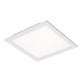 Briloner 7191-016 - Φωτιστικό οροφής LED SIMPLE LED/12W/230V