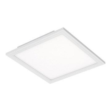 Briloner 7191-016 - Φωτιστικό οροφής LED SIMPLE LED/12W/230V