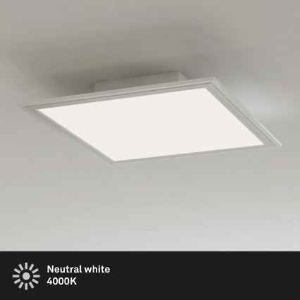 Briloner 7191-016 - Φωτιστικό οροφής LED SIMPLE LED/12W/230V