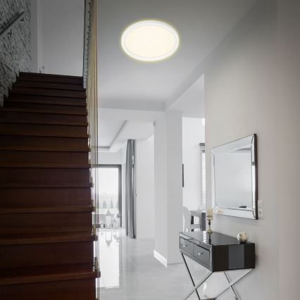 Briloner 7363-016 - Φωτιστικό οροφής LED CADRE LED/22W/230V d. 42,5 cm λευκό