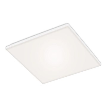 Briloner 7376-116 - Φωτιστικό οροφής LED FRAMELESS LED/24W/230V