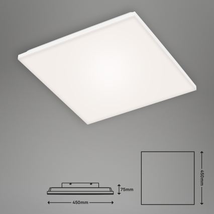 Briloner 7376-116 - Φωτιστικό οροφής LED FRAMELESS LED/24W/230V