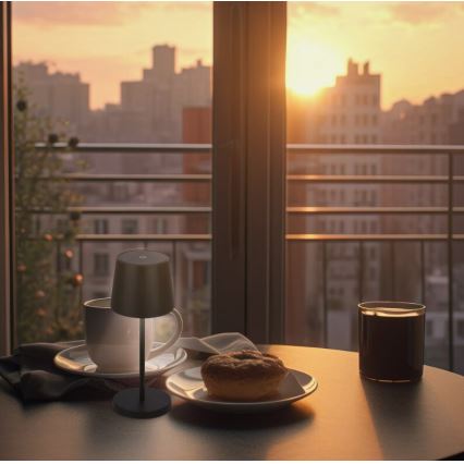 Briloner 7423015 - Επαναφορτιζόμενος εξωτερικός επιτραπέζιος φωτιστικό LED με ρύθμιση φωτεινότητας LED/2,6W/5V IP44 2000 mAh μαύρο