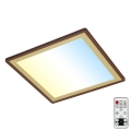 Briloner 7459-417 - Ρυθμιζόμενο LED οροφής φωτιστικό DECO LED/24W/230V 2700-6500K + τηλεχειριστήριο