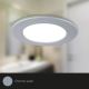 Briloner - ΣΕΤ 3x LED RGBW Κρεμαστό φωτιστικό οροφής μπάνιου dimmimg LED/4,8W/230V 3000-6500K IP65 + τηλεχειριστήριο