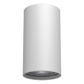 Brosline - Σποτ φωτιστικό 1xGU10/10W/230V λευκό