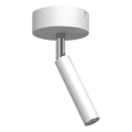 Brosline - Σποτ φωτιστικό 1xG9/2,5W/230V λευκό