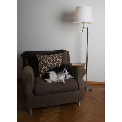 ByRydens - Επιδαπέδια λάμπα LED ORLANDO 1xE27/5W/230V + LED/3W λευκό/μπρονζέ διάμετρος 36 cm