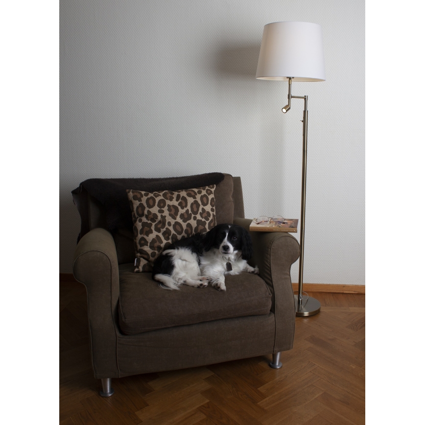 ByRydens - Επιδαπέδια λάμπα LED ORLANDO 1xE27/5W/230V + LED/3W λευκό/μπρονζέ διάμετρος 36 cm