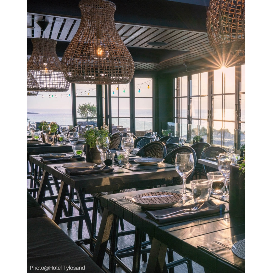 ByRydens - Κρεμαστό φωτιστικό οροφής SEAGRASS 1xE27/8W/230V μπεζ διάμετρος 49 cm