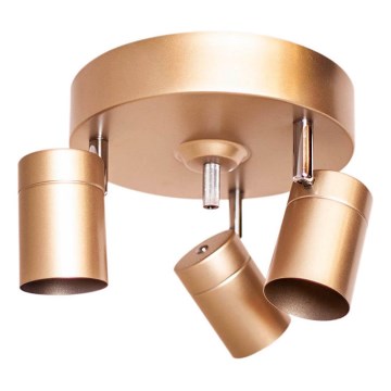 ByRydens - Σποτ φωτιστικό CORRECT 3xGU10/7W/230V χρυσό, διάμ. 20 cm