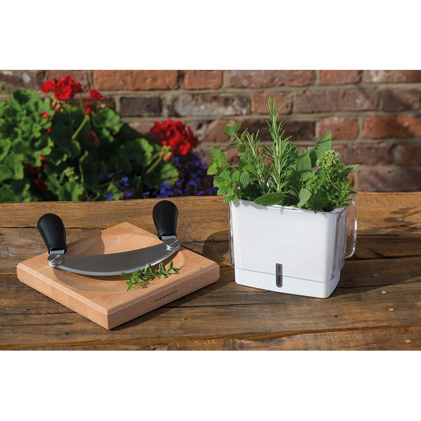 Cole&Mason - Δοχείο φύλαξης φρεσκοκομμένων μυρωδικών και βοτάνων