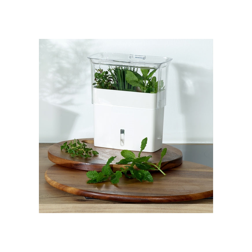 Cole&Mason - Δοχείο φύλαξης φρεσκοκομμένων μυρωδικών και βοτάνων