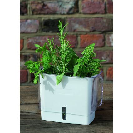 Cole&Mason - Δοχείο φύλαξης φρεσκοκομμένων μυρωδικών και βοτάνων