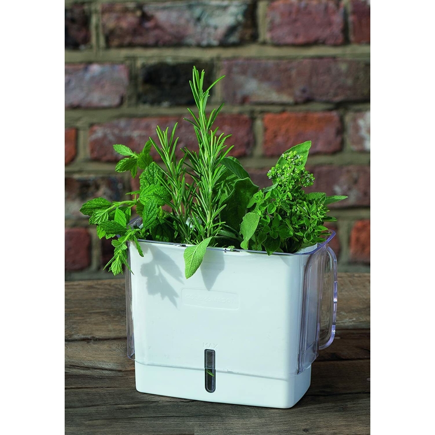 Cole&Mason - Δοχείο φύλαξης φρεσκοκομμένων μυρωδικών και βοτάνων