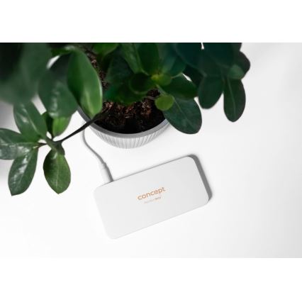 Concept KZ2010 - Καλλυντικός καθρέφτης τσέπης PERFECT SKIN LED/1,5W/5V 4500-5500K 300 mAh λευκός