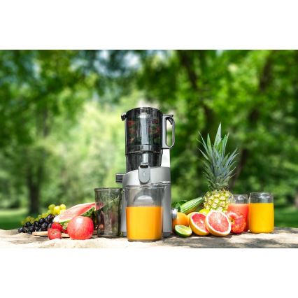 Concept LO7120 - Αποχυμωτής αργής σύνθλιψης JUICY 250W/230V γκρι