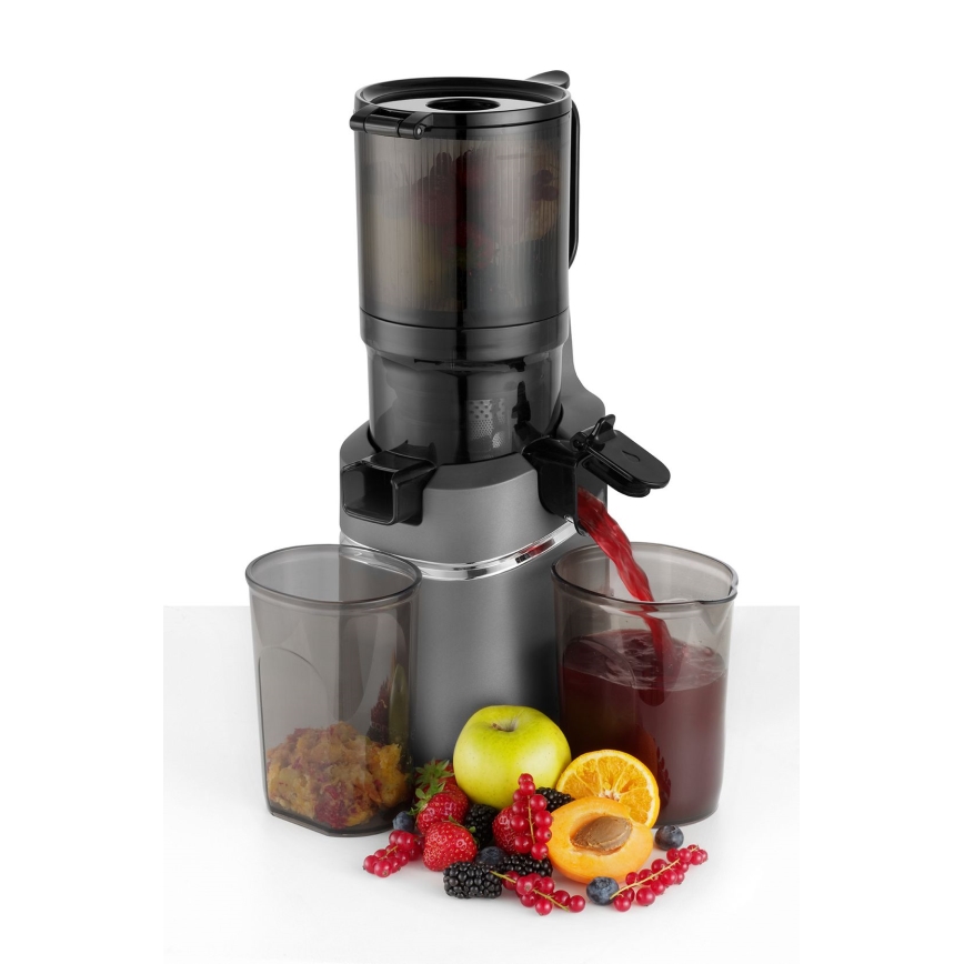 Concept LO7120 - Αποχυμωτής αργής σύνθλιψης JUICY 250W/230V γκρι