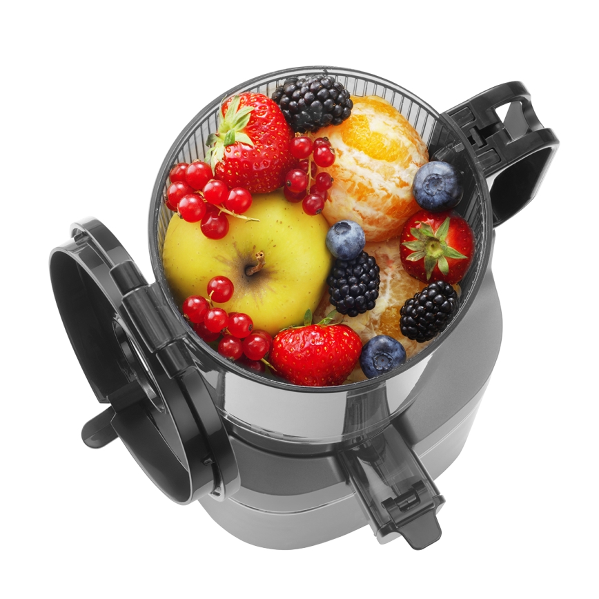 Concept LO7120 - Αποχυμωτής αργής σύνθλιψης JUICY 250W/230V γκρι