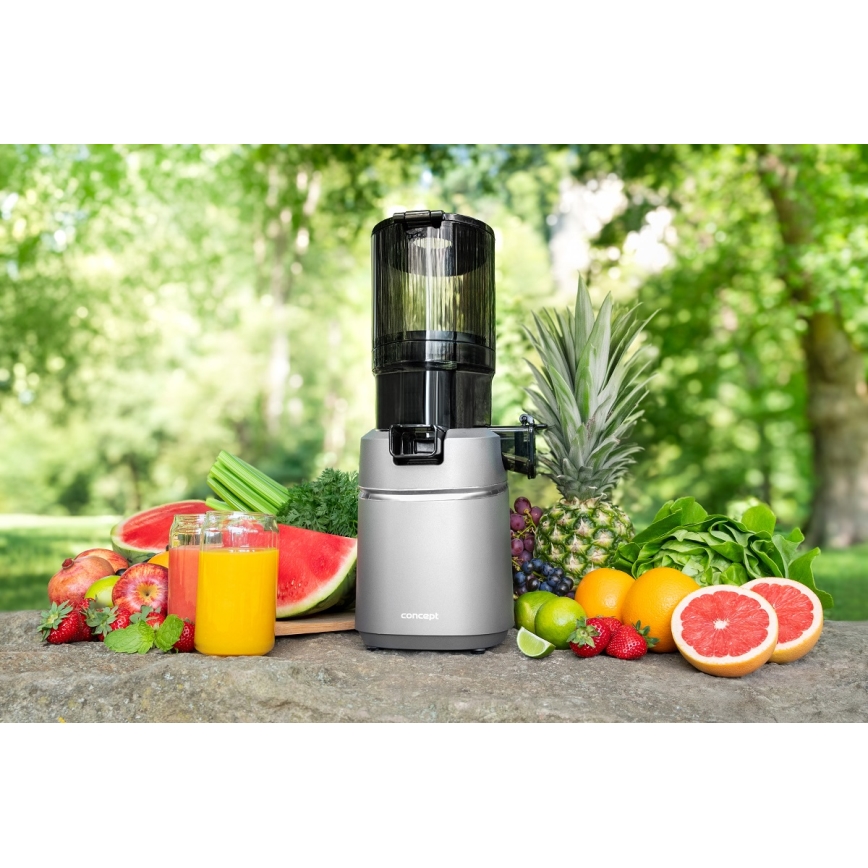Concept LO7120 - Αποχυμωτής αργής σύνθλιψης JUICY 250W/230V γκρι