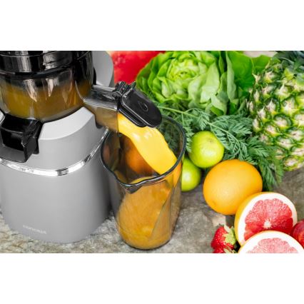 Concept LO7120 - Αποχυμωτής αργής σύνθλιψης JUICY 250W/230V γκρι