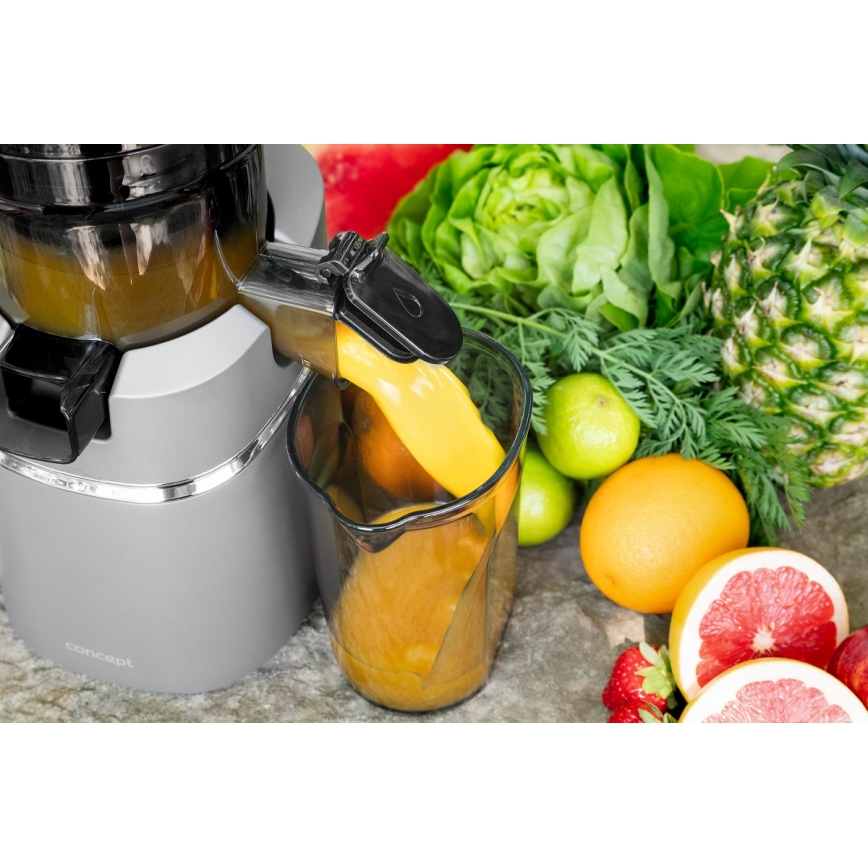 Concept LO7120 - Αποχυμωτής αργής σύνθλιψης JUICY 250W/230V γκρι