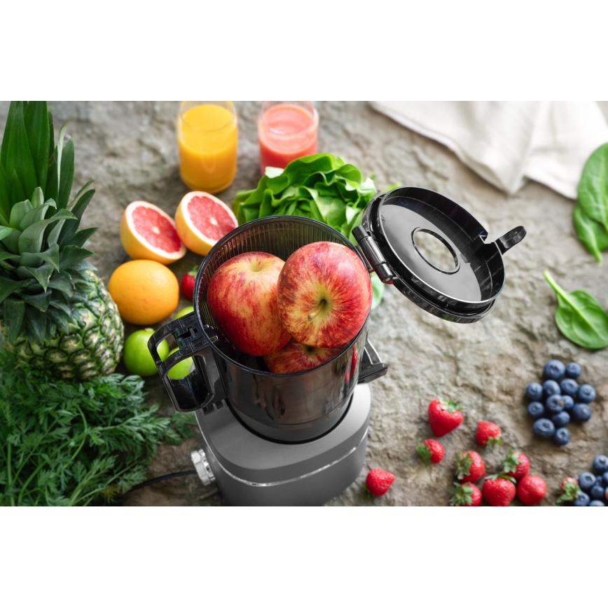 Concept LO7120 - Αποχυμωτής αργής σύνθλιψης JUICY 250W/230V γκρι