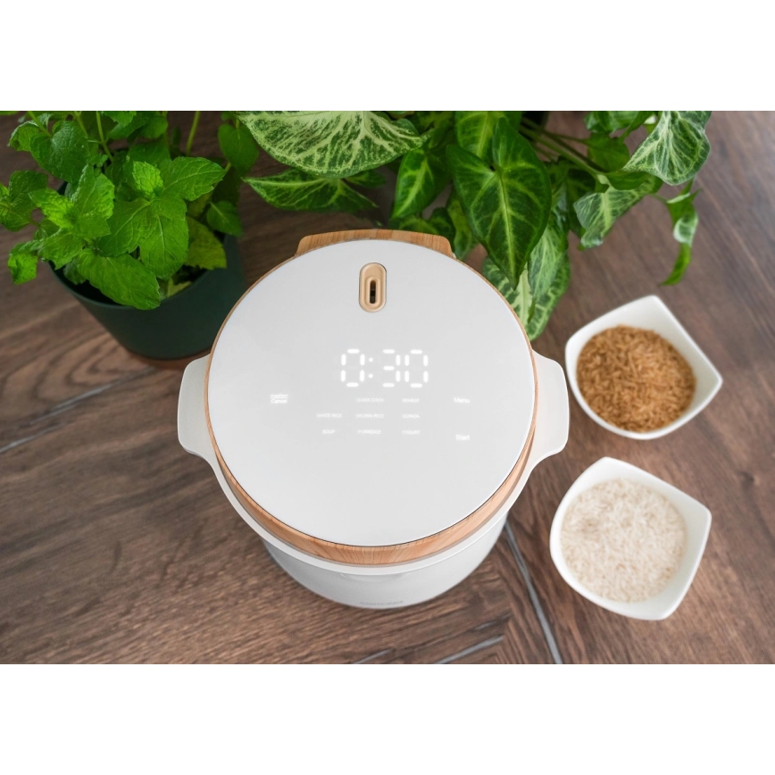 Concept RE3030 - Ψηφιακός ρυζομάγειρας 2-σε-1 380W/230V 1,5 l λευκό/εφέ ξύλου