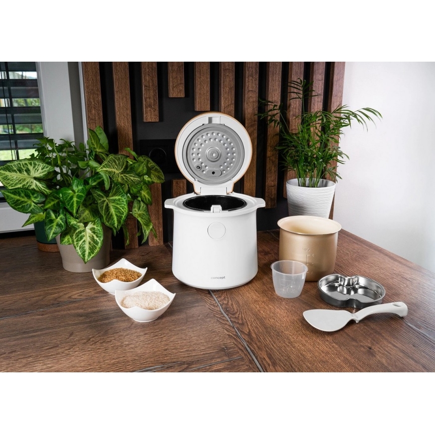 Concept RE3030 - Ψηφιακός ρυζομάγειρας 2-σε-1 380W/230V 1,5 l λευκό/εφέ ξύλου