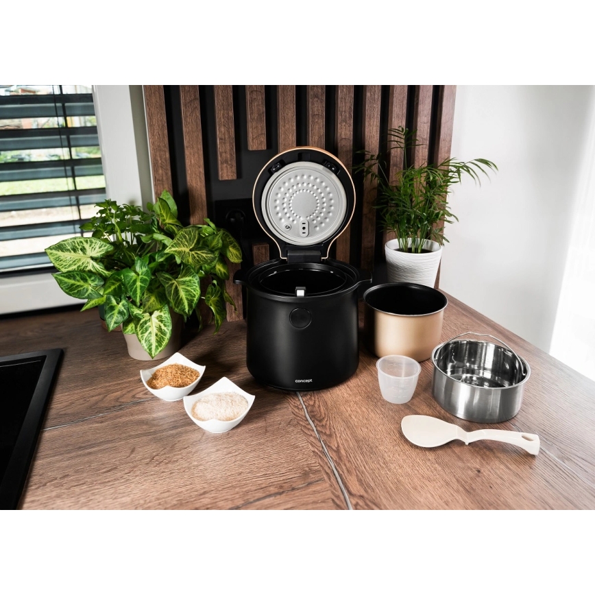 Concept RE4040 - Ψηφιακός ρυζομάγειρας 2-σε-1 450W/230V 2 l μαύρο/διακόσμηση ξύλου