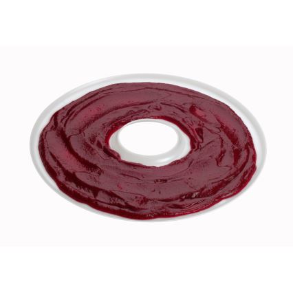 Concept SO2020 - Αποξηραντής τροφίμων 500W/230V λευκό