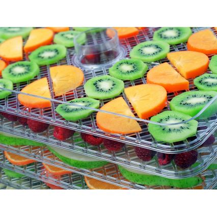 Concept SO2042 - Αποξηραντής τροφίμων 500W/230V μαύρος + φόρμα σιλικόνης