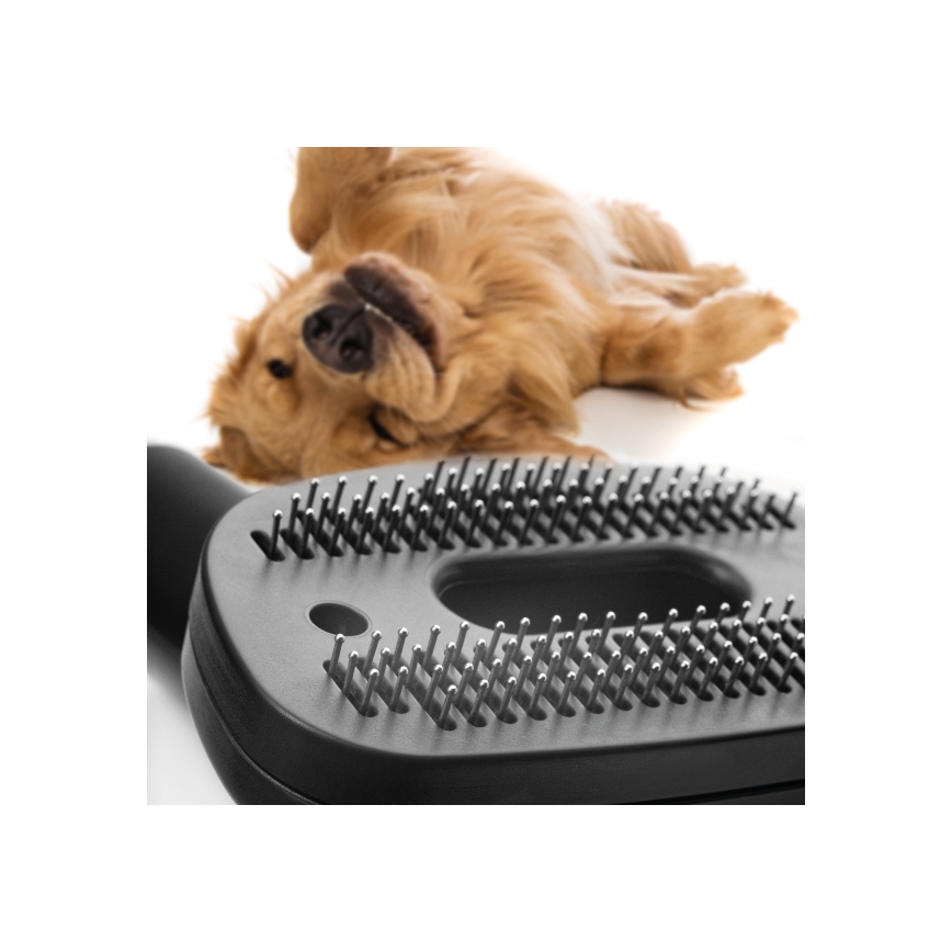 Concept VP5240N - Ηλεκτρική σκούπα χωρίς σακούλα 4A RADICAL PET EXPERT 2,5 l 800W/230V μπρονζέ