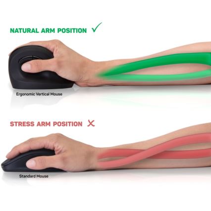 CONNECT IT CMO-2700-BK - Εργονομικό ασύρματο ποντίκι 800/1200/1600 DPI 1xAA μαύρο