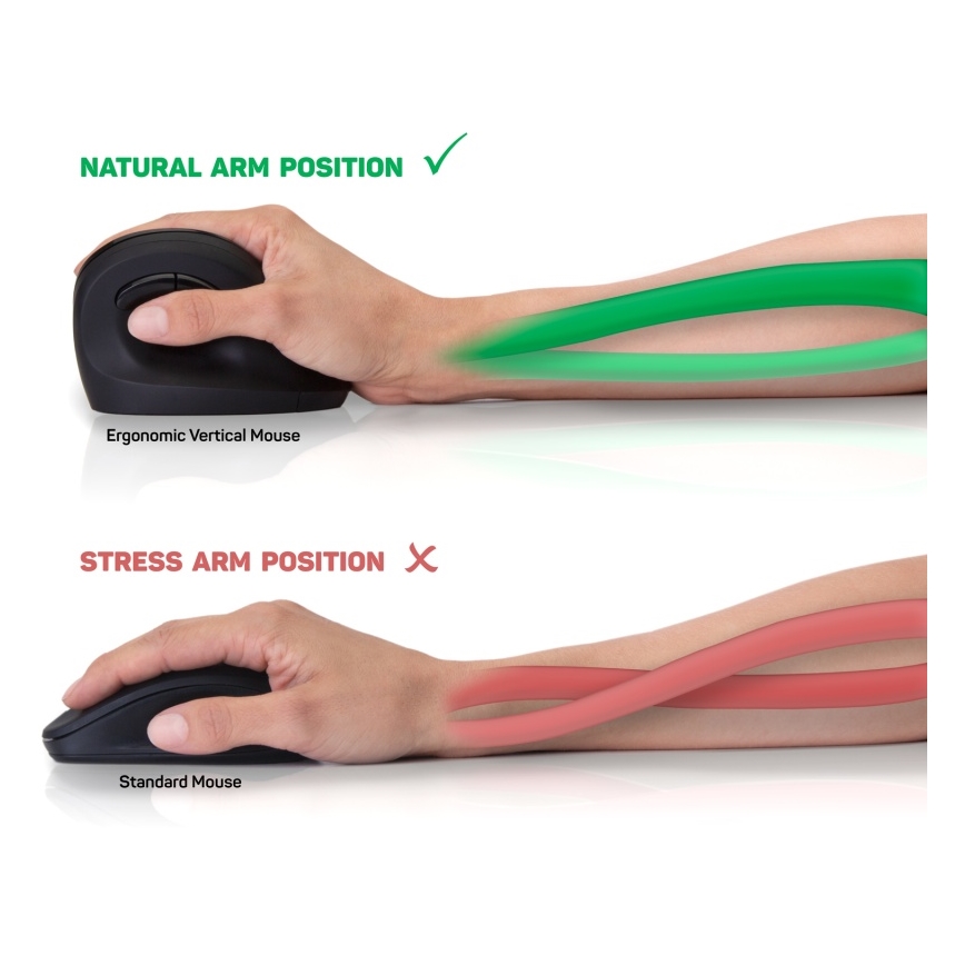 CONNECT IT CMO-2700-BK - Εργονομικό ασύρματο ποντίκι 800/1200/1600 DPI 1xAA μαύρο