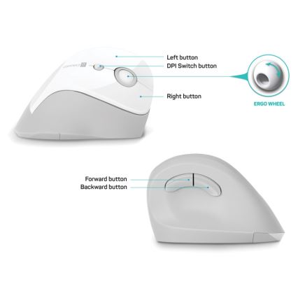 CONNECT IT CMO-2700-WH - Εργονομικό ασύρματο ποντίκι 800/1200/1600 DPI 1xAA λευκό