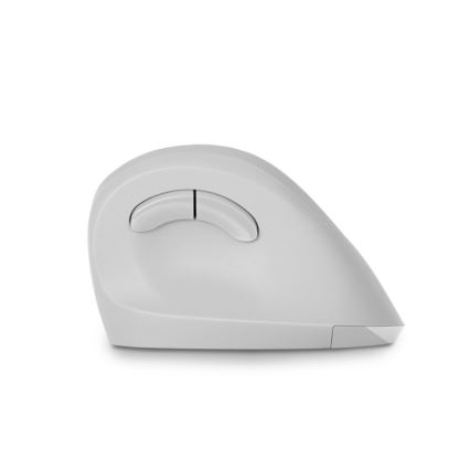 CONNECT IT CMO-2700-WH - Εργονομικό ασύρματο ποντίκι 800/1200/1600 DPI 1xAA λευκό