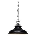 Cottex - Κρεμαστό φωτιστικό με αλυσίδα NEW HAVEN 1xE27/60W/230V