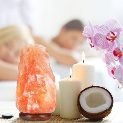 Λάμπα από Αλάτι SALLY 1xE14/25W/230V alder 6,7 kg