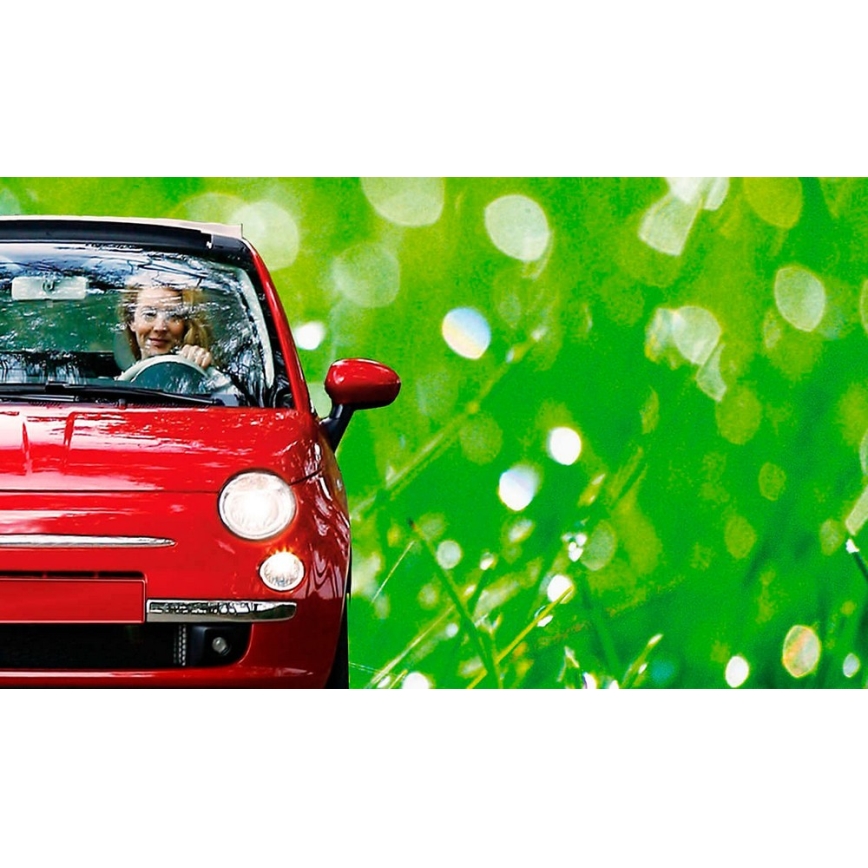 Λάμπα αυτοκινήτου Philips ECO VISION 12342LLECOB1 H4 P43t-38/55W/12V